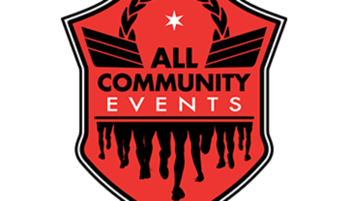 ace-logo-2 ace-logo-2