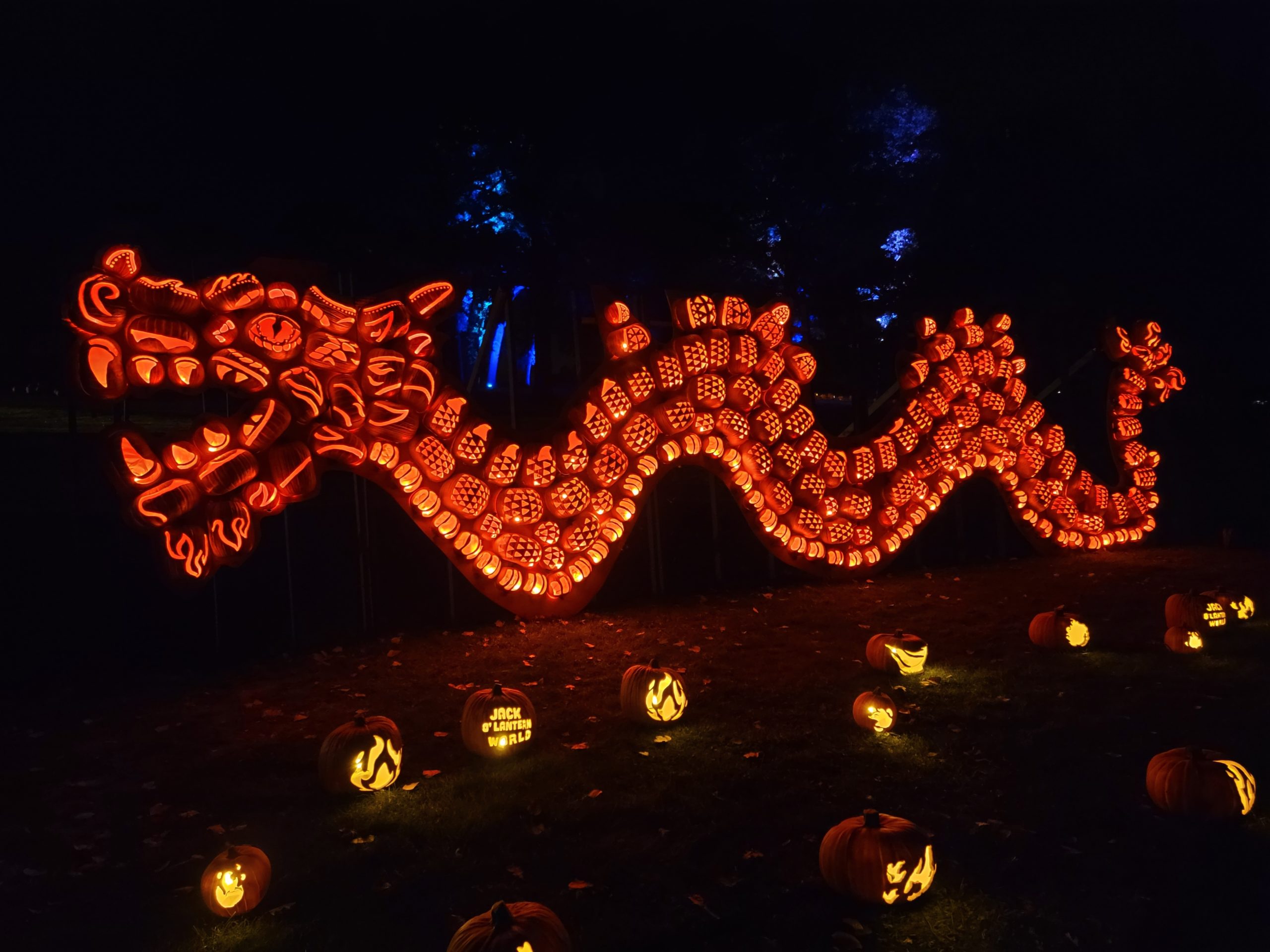 Jack O'Lantern World Pumpkin Display