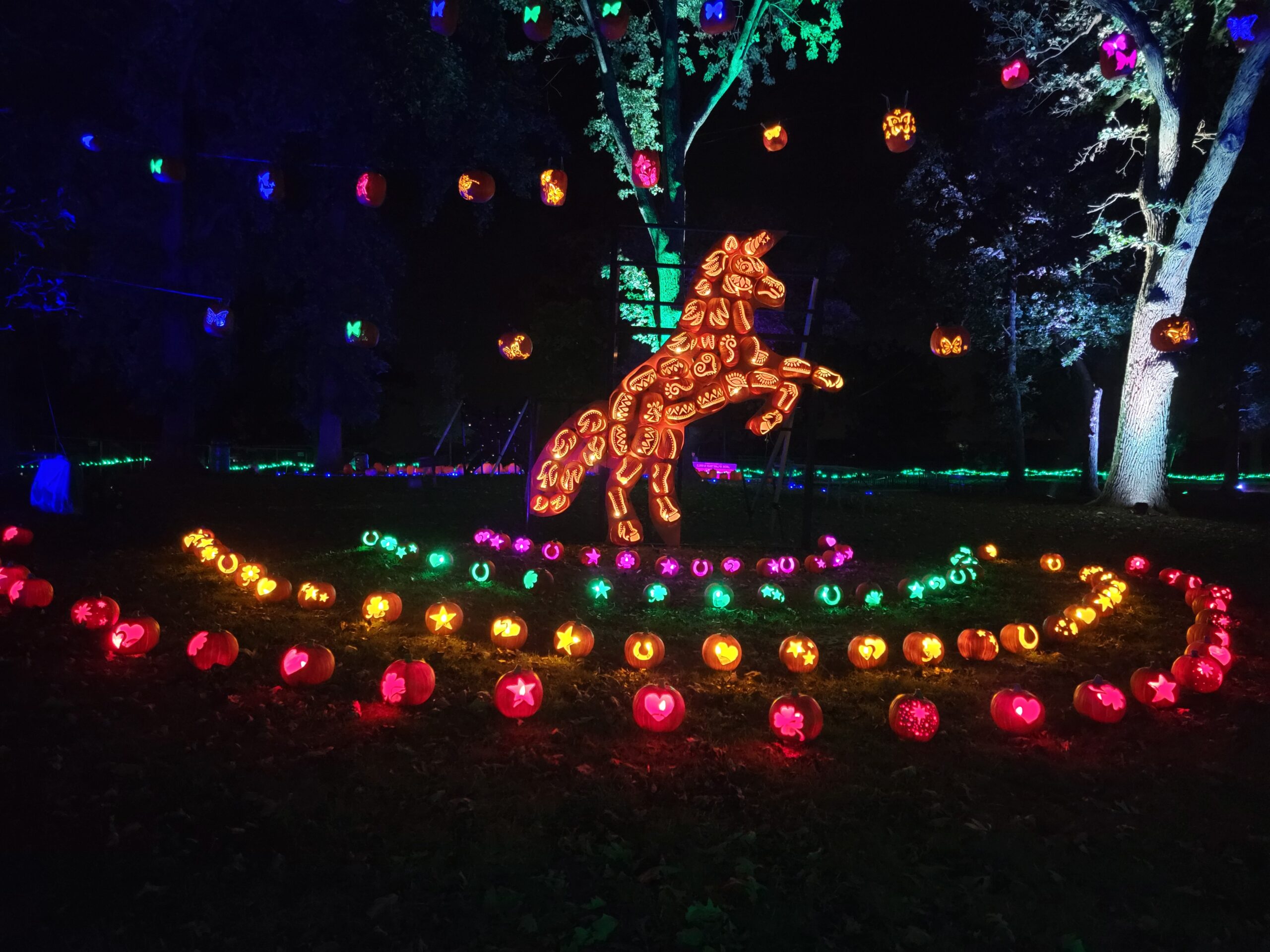 Jack O Lantern World – Lake Zurich 2025