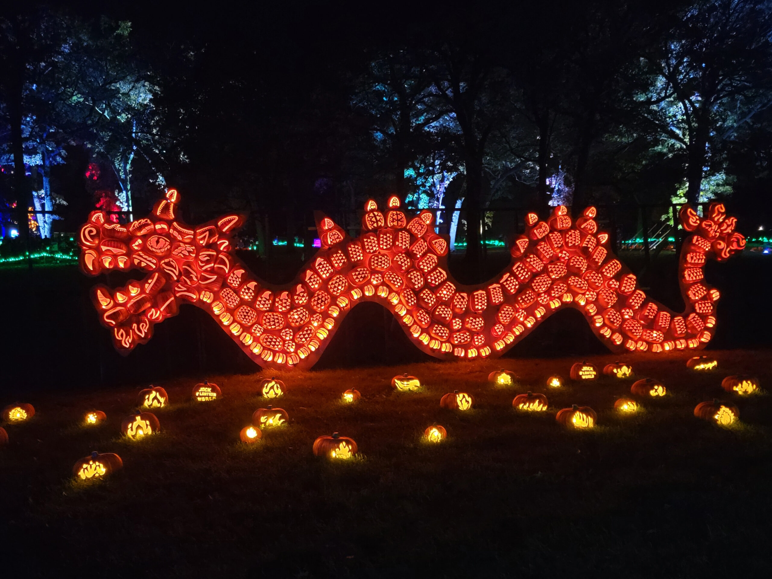 Jack O Lantern World – Lake Zurich 2025
