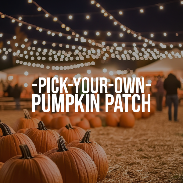 -Illuminated pumpkin patch experience -Great photo ops -Support local farmers