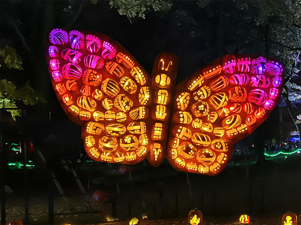 Jack O Lantern World – Lake Zurich 2025