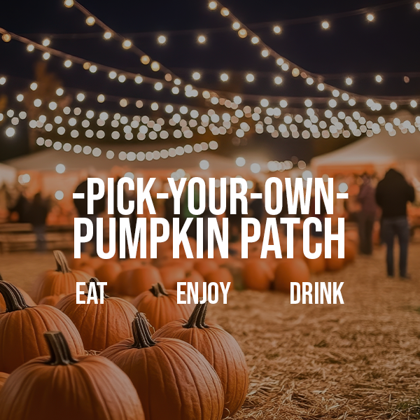 Pumpkins & Art
Enjoy the trail of over 1000+ carved pumpkins from Local Artist! See the gigantic pumpkins that weighs over 1000s LBS with your own eyes!