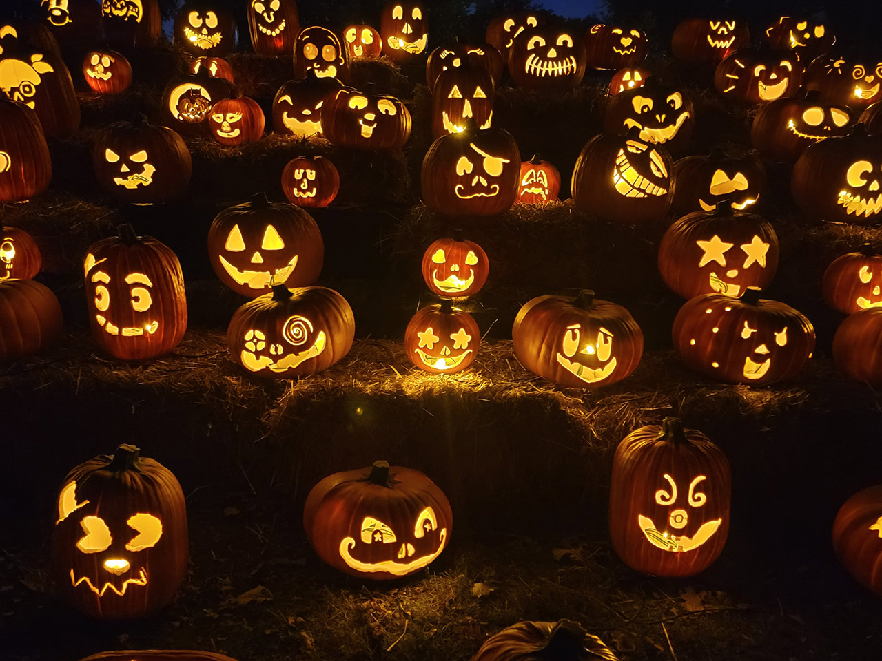 Jack O Lantern World – Lake Zurich 2025