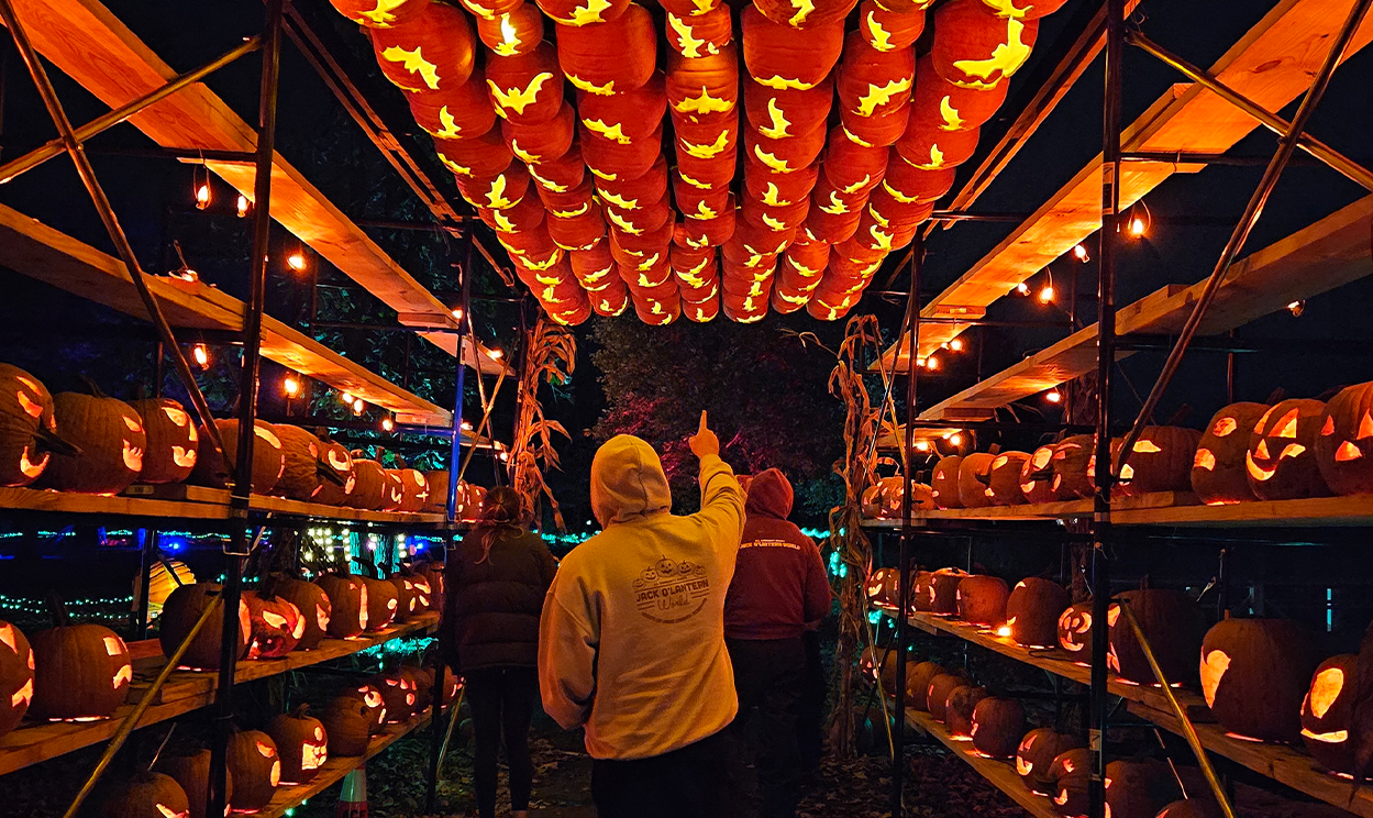 Jack O Lantern World – Lake Zurich 2025
