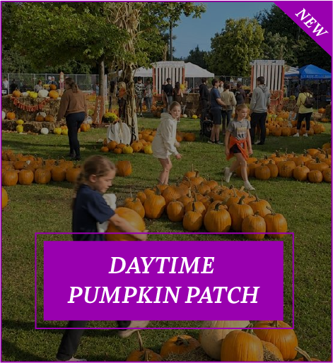 Jack O Lantern World – Lake Zurich 2026