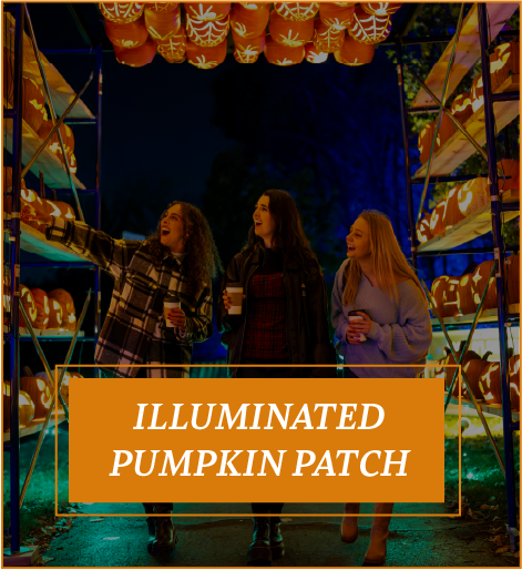 Jack O Lantern World – Lake Zurich 2026