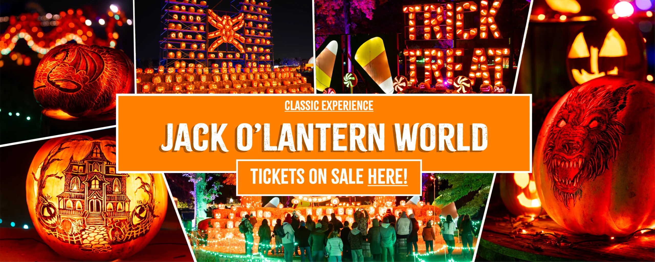 Jack O Lantern World – Pumpkin Patch