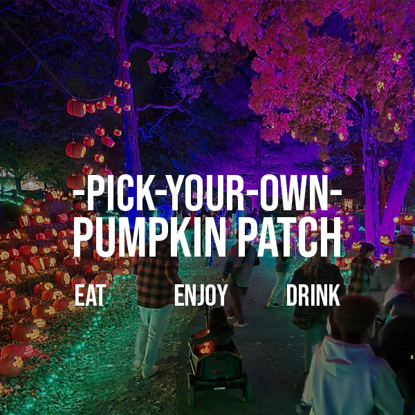 Pumpkins & Art Enjoy the trail of over 1000+ carved pumpkins from Local Artist! See the gigantic pumpkins that weighs over 1000s LBS with your own eyes!